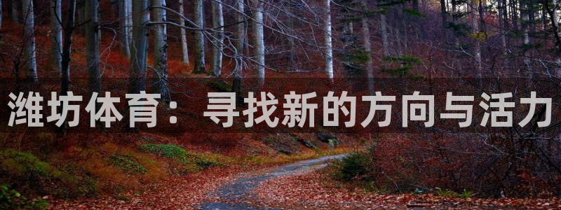 公海赌赌船官方正版app新能源:潍坊体育:寻找新的方向与活力