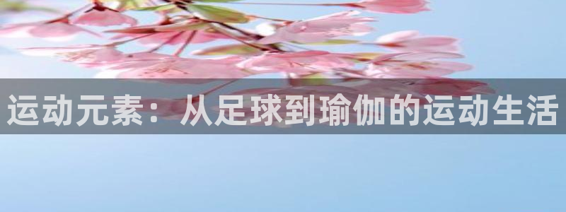 公海赌赌船官网下载平台是正规平台吗知乎:运动元素:从足球到瑜